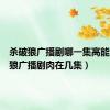 杀破狼广播剧哪一集高能（杀破狼广播剧肉在几集）