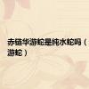 赤链华游蛇是纯水蛇吗（赤链华游蛇）