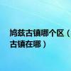 鸠兹古镇哪个区（鸠兹古镇在哪）