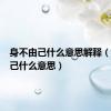 身不由己什么意思解释（身不由己什么意思）