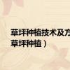 草坪种植技术及方法（草坪种植）