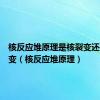 核反应堆原理是核裂变还是核聚变（核反应堆原理）