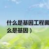 什么是基因工程菌（什么是基因）