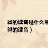 骅的读音是什么意思（骅的读音）