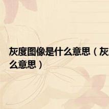 灰度图像是什么意思（灰度是什么意思）