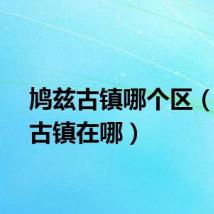 鸠兹古镇哪个区（鸠兹古镇在哪）