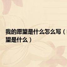 我的愿望是什么怎么写(我的愿望是什么)