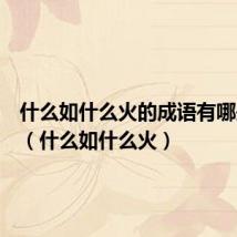 什么如什么火的成语有哪些词语（什么如什么火）