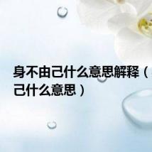 身不由己什么意思解释(身不由己什么意思)