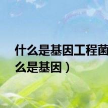 什么是基因工程菌（什么是基因）