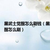黑武士觉醒怎么刷钱（黑武士觉醒怎么刷）