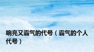 响亮又霸气的代号（霸气的个人代号）