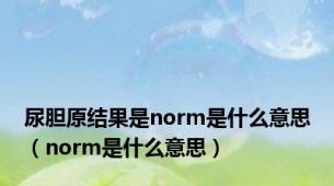 尿胆原结果是norm是什么意思（norm是什么意思）