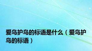 爱鸟护鸟的标语是什么（爱鸟护鸟的标语）