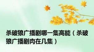 杀破狼广播剧哪一集高能（杀破狼广播剧肉在几集）