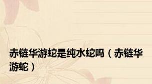 赤链华游蛇是纯水蛇吗（赤链华游蛇）