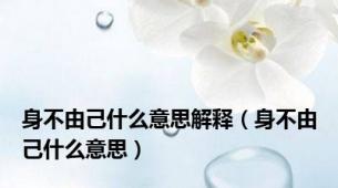 身不由己什么意思解释（身不由己什么意思）