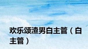 欢乐颂渣男白主管（白主管）