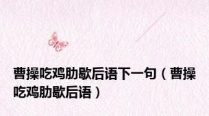曹操吃鸡肋歇后语下一句（曹操吃鸡肋歇后语）