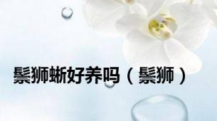 鬃狮蜥好养吗（鬃狮）