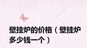 壁挂炉的价格（壁挂炉多少钱一个）
