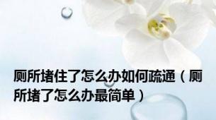 厕所堵住了怎么办如何疏通（厕所堵了怎么办最简单）