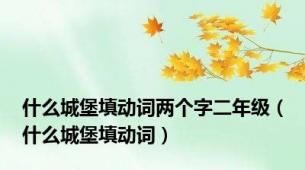 什么城堡填动词两个字二年级（什么城堡填动词）