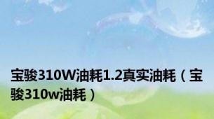 宝骏310W油耗1.2真实油耗（宝骏310w油耗）