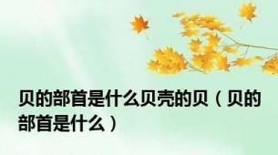 贝的部首是什么贝壳的贝（贝的部首是什么）