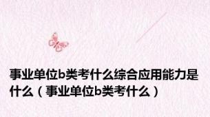 事业单位b类考什么综合应用能力是什么（事业单位b类考什么）