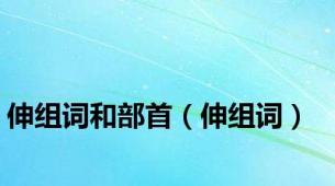伸组词和部首（伸组词）