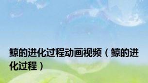 鲸的进化过程动画视频（鲸的进化过程）