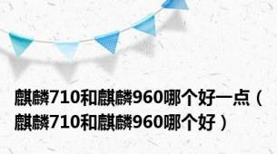 麒麟710和麒麟960哪个好一点（麒麟710和麒麟960哪个好）