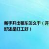 新手开出租车怎么干（开出租车好还是打工好）