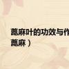 蓖麻叶的功效与作用（蓖麻）
