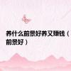 养什么前景好养又赚钱（养什么前景好）