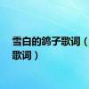 雪白的鸽子歌词（鸽子歌词）