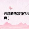 鸡鹰的功效与作用（鸡鹰）