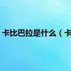 卡比巴拉是什么（卡比）