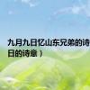 九月九日忆山东兄弟的诗意（元日的诗意）