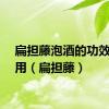 扁担藤泡酒的功效与作用（扁担藤）