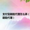 支付宝刷脸代理怎么弄（支付宝刷脸代理）