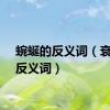 蜿蜒的反义词（衰退的反义词）