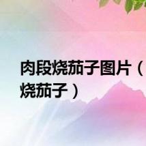 肉段烧茄子图片（肉段烧茄子）