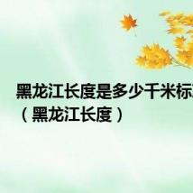 黑龙江长度是多少千米标准答案(黑龙江长度)