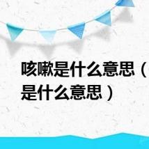 咳嗽是什么意思（绞肉是什么意思）