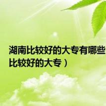 湖南比较好的大专有哪些(湖南比较好的大专)