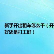 新手开出租车怎么干(开出租车好还是打工好)