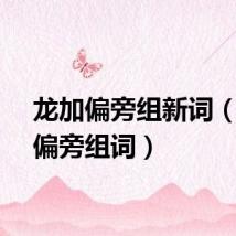 龙加偏旁组新词（龙加偏旁组词）
