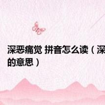 深恶痛觉 拼音怎么读(深恶痛觉的意思)